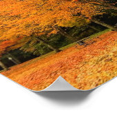 Poster Autumn in the Park, Oregon (Coin)