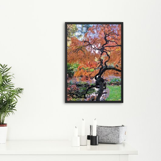 Poster Autumn Laceleaf Japanese Maple Tree Botanical