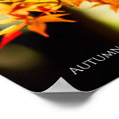Poster Autumn Leaves (Coin)