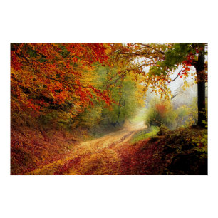 Poster Autumn Leaves and Trees Covering Dirt Road
