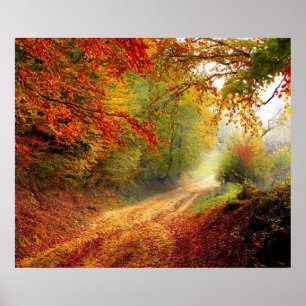 Poster Autumn Leaves and Trees Covering Dirt Road