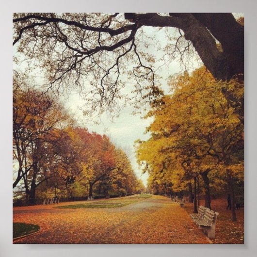 Poster Autumn Leaves NYC Riverside Park New York Fall Art (Devant)