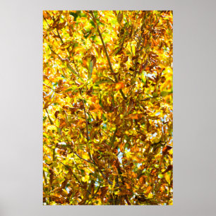 Poster Autumn leaves pattern