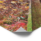 Poster Autumn Walk (Coin)