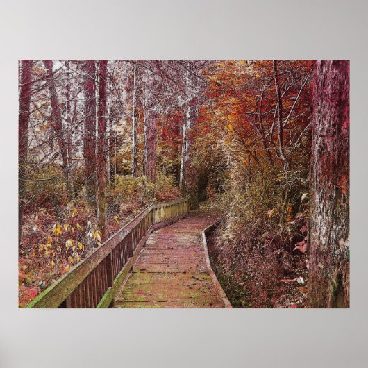 Poster Autumn Walk (Devant)
