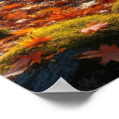 Poster Autumn's Gentle Symphony (Coin)