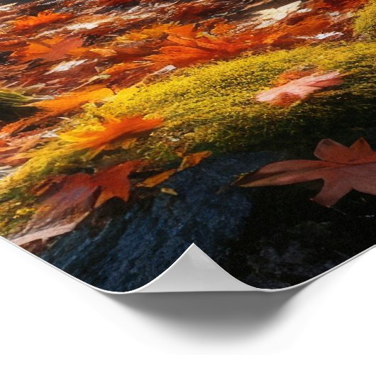 Poster Autumn's Gentle Symphony (Coin)