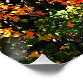 POSTER AUTUMNS GLORY PERFECT POSTER (Hoek)