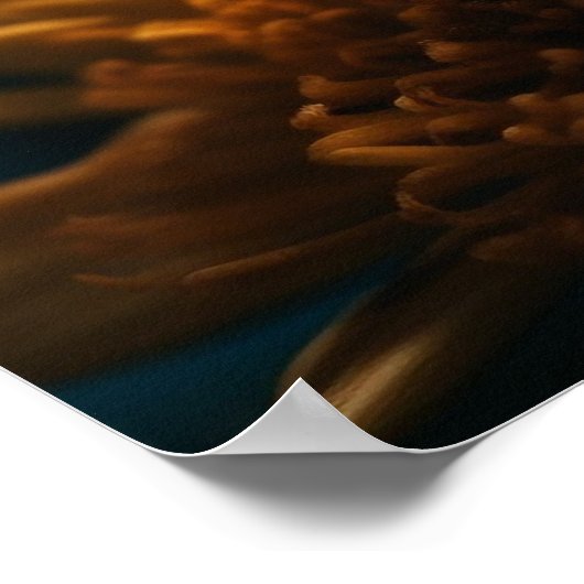 Poster aux papillons (Coin)