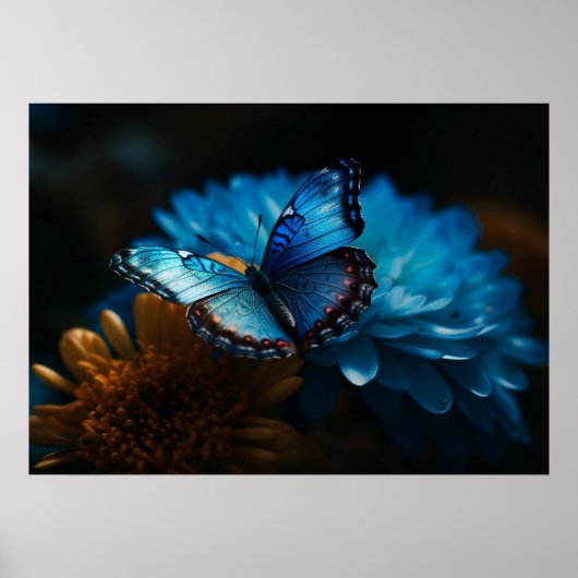 Poster aux papillons (Devant)