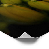 Poster aux papillons (Coin)