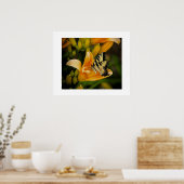 Poster aux papillons (Cuisine)