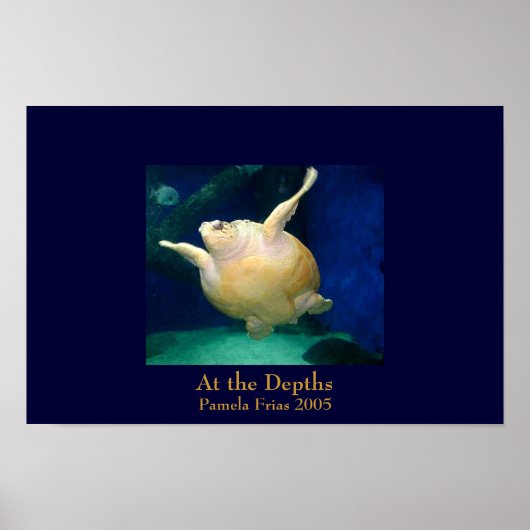 Poster Aux profondeurs (Devant)