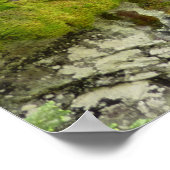 Poster Avalanche Gorge II at Glacier National Park (Coin)