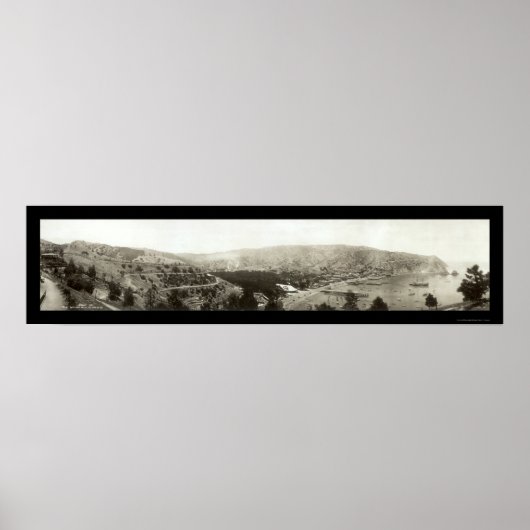 Poster Avalon, CA Catalina Island Photo 1910 (Devant)