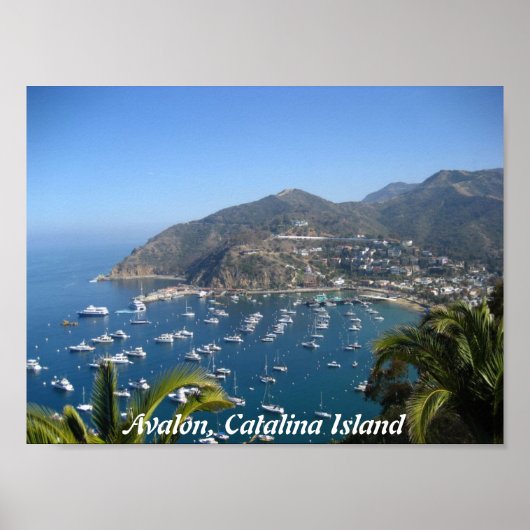 Poster Avalon, île de Catalina (Devant)