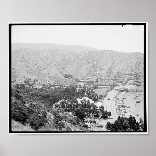 Poster Avalon, Père Noël Catalina Island c1903 (Devant)