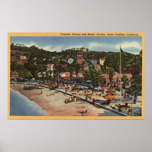 Poster Avalon Vue sur Crescent Ave. & Plage (Devant)