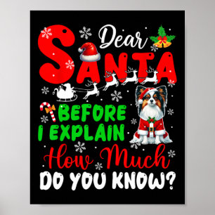Poster Avant D'Expliquer Combien Vous Connaissez Xmas Pap