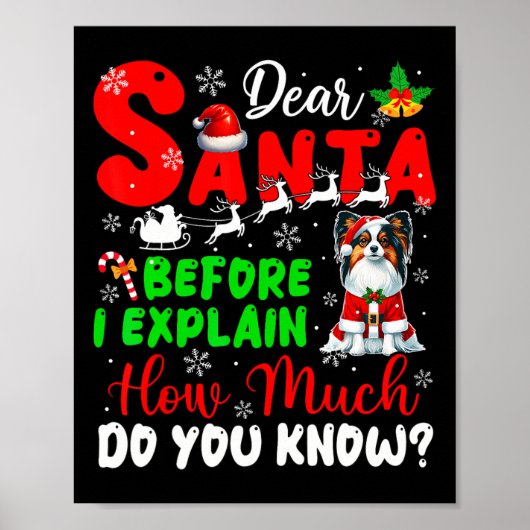 Poster Avant D'Expliquer Combien Vous Connaissez Xmas Pap (Devant)