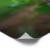 Poster Avant le vin (Coin)