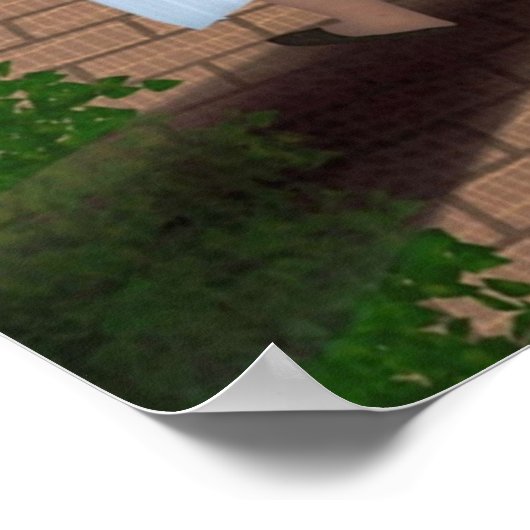 Poster Avec ces canards (Coin)