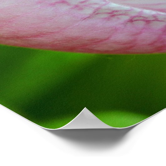 Poster Avec Dieu Toutes Les Choses Possible Inspiration (Coin)