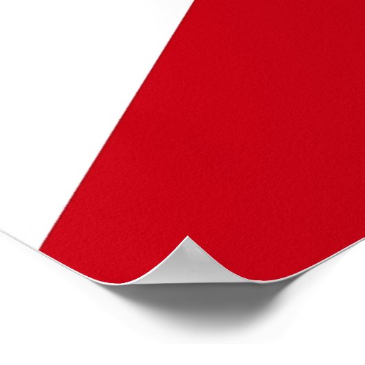 Poster avec Drapeau de Floride, U.S.A. (Coin)