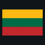 Poster avec Drapeau de Lituanie<br><div class="desc">Montrez votre fierté lituanienne avec cette affiche audacieuse et éclatante arborant le drapeau lituanien ! Conçu pour capturer l'essence de l'identité nationale, ce poster présente en détails l'emblématique tricolore jaune, vert et rouge. C’est l’endroit idéal pour célébrer le patrimoine lituanien, que ce soit dans une salle de classe, une chambre,...</div>