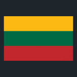 Poster avec Drapeau de Lituanie<br><div class="desc">Montrez votre fierté lituanienne avec cette affiche audacieuse et éclatante arborant le drapeau lituanien ! Conçu pour capturer l'essence de l'identité nationale, ce poster présente en détails l'emblématique tricolore jaune, vert et rouge. C’est l’endroit idéal pour célébrer le patrimoine lituanien, que ce soit dans une salle de classe, une chambre,...</div>