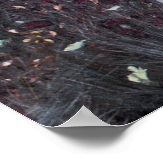 Poster Avec John Singer Sargent Peinture (Coin)