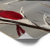 Poster avec les cardinaux (Coin)