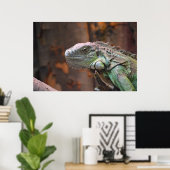 Poster avec lézard Iguana coloré (Bureau à domicile)