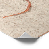 Poster Avec Lobelia Black Wall (Coin)