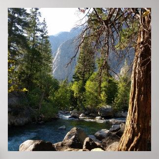 Poster avec ruisseau, forêt et montagnes