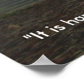 Poster avec Theodore Roosevelt (Coin)