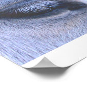 Poster avec un cheval et poème d'Anna Blake. (Coin)