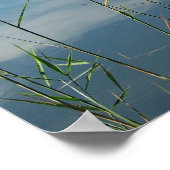 Poster avec une photo de fleurs blanches de lotus (Coin)