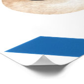 Poster Aventure Onederful Voyage Postal (Coin)