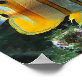 Poster Aventure sous-marine (Coin)