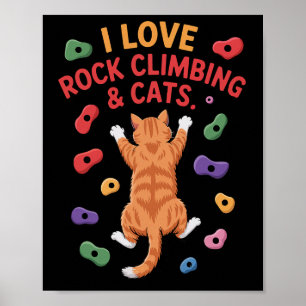 Poster Aventurier drôle de chat grimpeur de roche Prise d