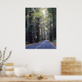 Poster Avenue des géants - Humboldt Redwoods State Park (Cuisine)