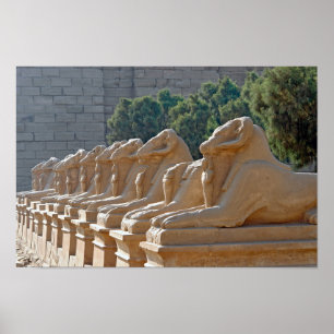 Poster Avenue des sphinx dans le temple de Karnak - Egypt