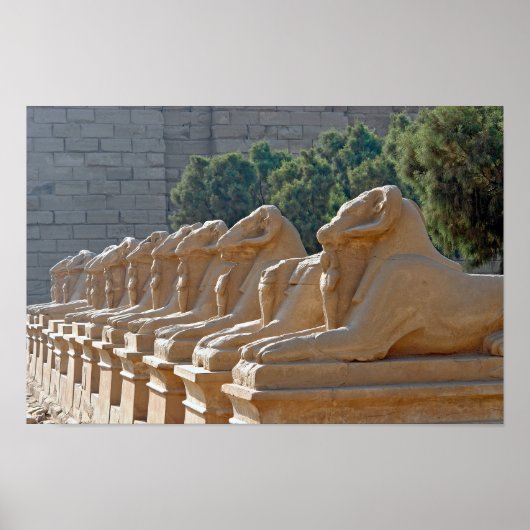 Poster Avenue des sphinx dans le temple de Karnak - Egypt (Devant)