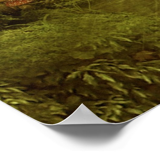 Poster averses d'avril (Coin)