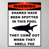 Poster Avertissement concernant le requin du pool (Devant)