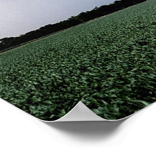 Poster Avertissement de tornade (Coin)