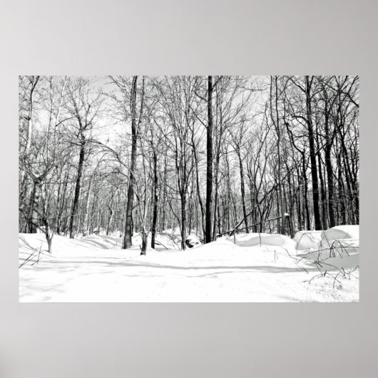 Poster Aveuglé par la neige (Devant)