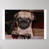 Poster avez-vous appelé ? (Devant)