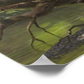 Poster Avian Balaur bondoc (Coin)